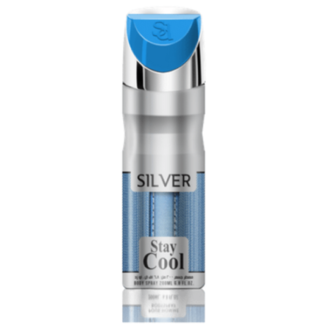 STAY COOL SILVER 200ML
